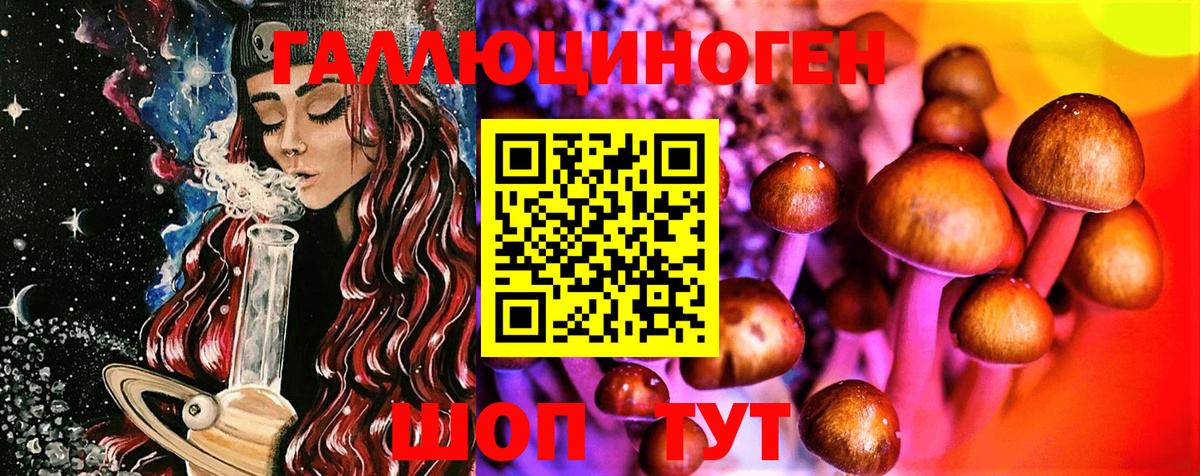 Псилоцибиновые грибы MAGIC MUSHROOMS Новокубанск