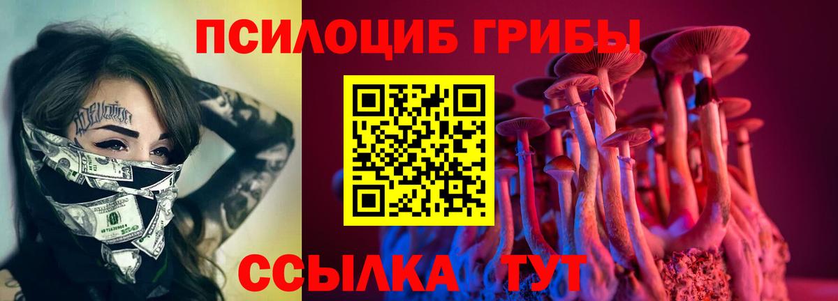 Новокубанск  Галлюциногенные грибы ЛСД  Галлюциногенные грибы ЛСД  Вход с VPN 