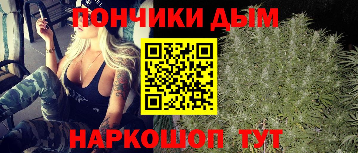 Каннабис конопля Новокубанск